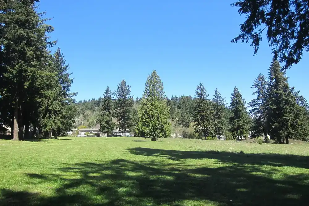 Sunny park lawn edged by tall evergreen trees under a clear blue sky in Gresham, Oregon