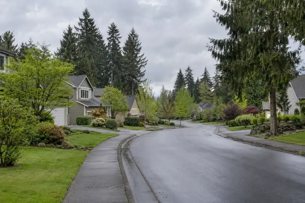 Illustration of a typical residential street in the Mount Vista, WA area