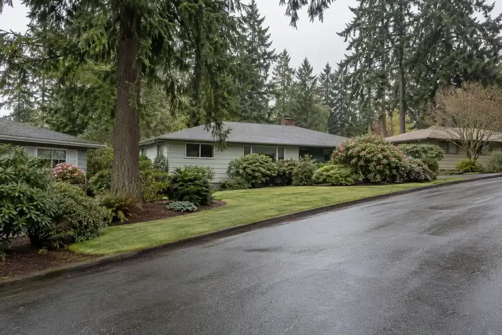 Illustration of a typical residential street in the Salmon Creek, WA area