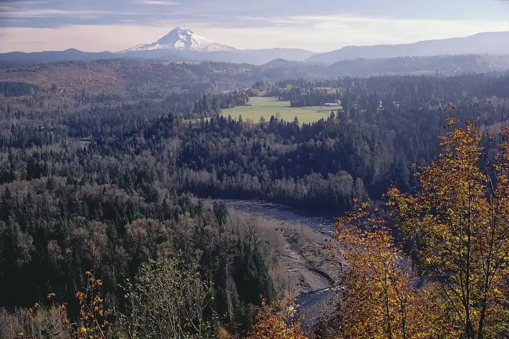 View from Jonsrud Viewpoint over the forested Sandy River valley toward Mount Hood, Oregon